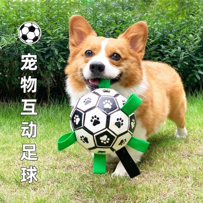 小狗狗玩具狗狗耐咬解闷足球柯基犬小大型犬互动宠物球代发批发保|undefined