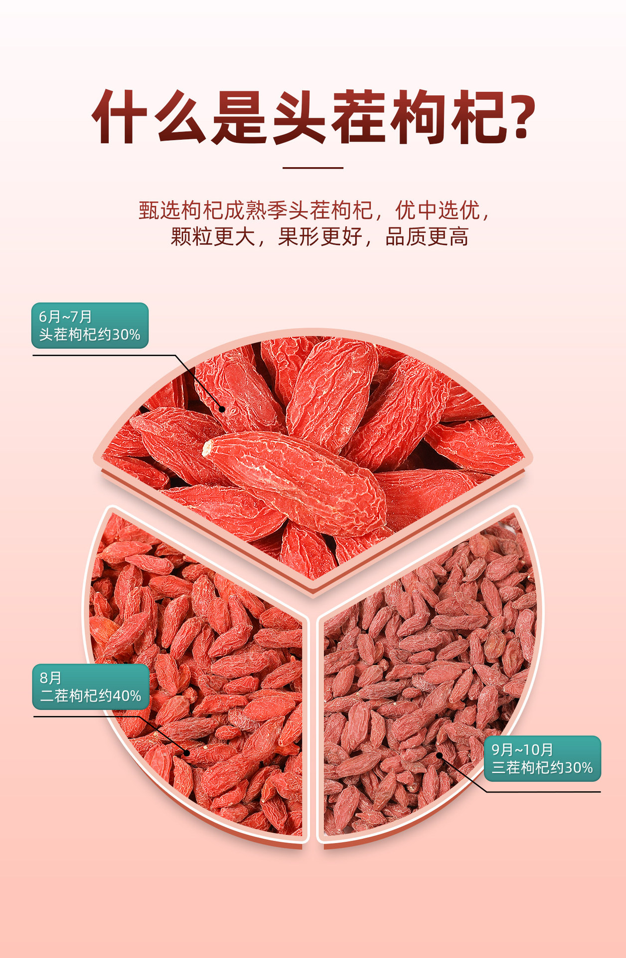 Ningxia Goji Berries Gou Qi Zi Premium Large Dried Fruit 200g for Tea and Cooking overview