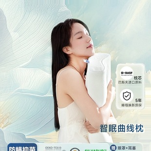 Pillow Cervical Spine Support to Help Sleep, a Pair of Household Adult Sleeping Pillow Core Memory Foam Neck Pillow Without
