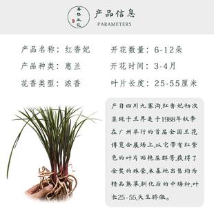 �t�����m���r���t�����m���N���Nֲ����N�҃Ȼ��������̨�Bֳ
