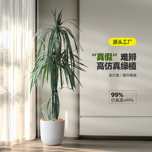��Ѫ�����Gֲ�҃�ɳĮ�쾰�b�ܛ�z���^�����m��횘��ֲ������