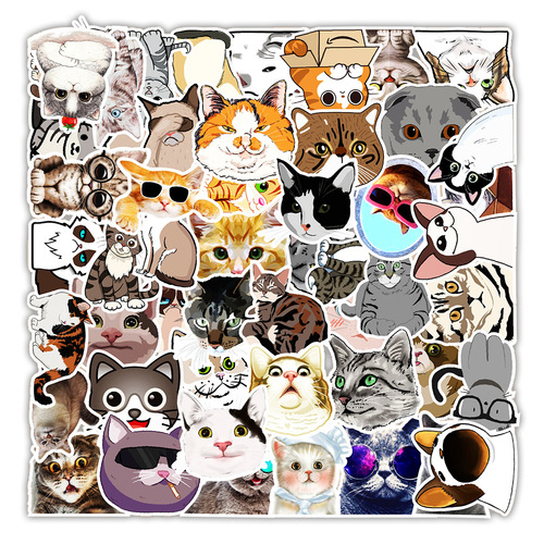 50 cute kitten expression graffiti stickers, balance car, mobile phone, water bottle decoration stickers, notebook stickers