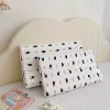 Mr. Rabbit Pillow Set alone
