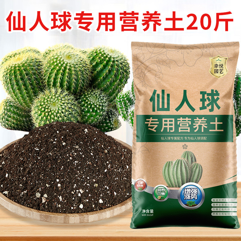 선인장 흙 10kg 매장 핫 세일 가게 주인 추천