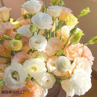 �����������ֱ�l���r��۹���đ���滨��������l�҃�ˮ�B�r��