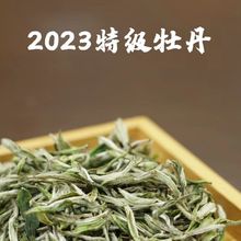 正宗福鼎白茶太姥山2023特级白牡丹散茶批发福鼎白茶散茶白牡丹