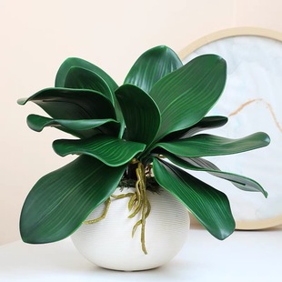 �ָ�ܛ�z��������m�~�ӷ��滨�ľ����m���~ֲ�����Ի�ˇ�廨���