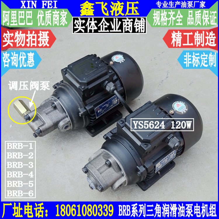 BRB-1 BAB-2 RAB-3 4 5 6三角摆线润滑油泵电机组YS5624 120W