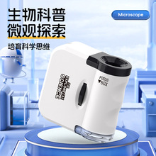 新款便携式小型显微镜挂件户外探索观察携带LED灯趣味儿童玩具