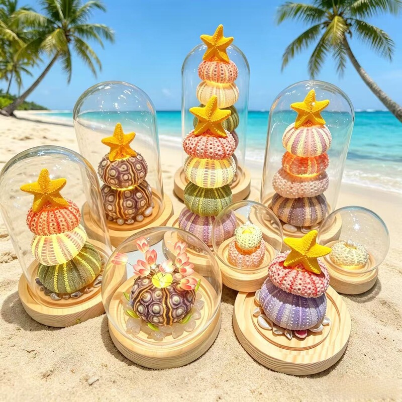 Stackable Sea Urchin Shell Luminous Night Light, Beach-Themed Cultural and Creative Product, Free Engraving, High-Value Cultural and Creative Shell Starfish Lamp