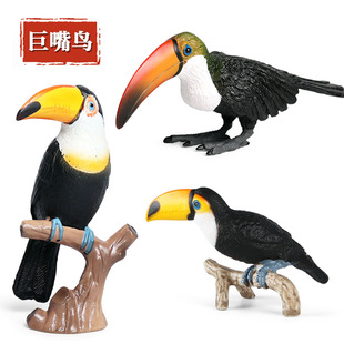 �羳��������B�ģ�͌����K�y�����B�����B�W�^��ͯ�J֪��ߔ[��