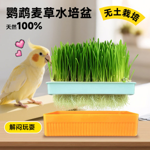 �W�^�㶹��С�B�Ե��߲˿�ҧ��߻�Ƥĵ��С̫��������P��ҧĥ��