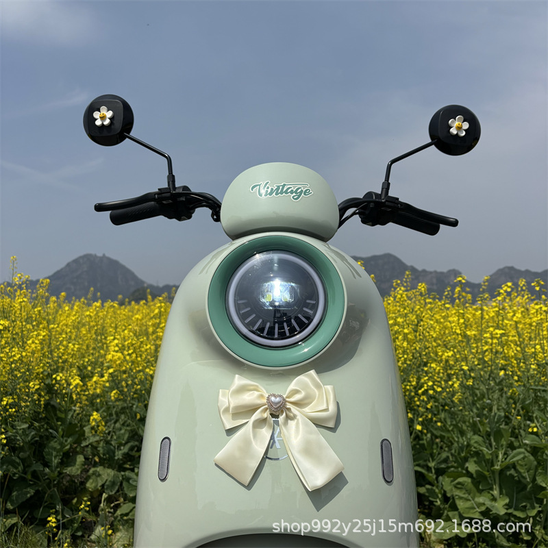Electric Scooter Decoration Accessories Stickers