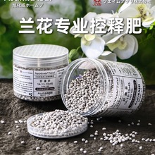 ձMںÿmጷħmƾmīmٻֲw