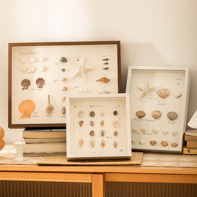 Hollow three-dimensional dried flower photo frame DIY shell conch decorative picture frame manufacturer light painting hollow 5 butterfly specimen frame