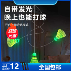 バドミントンをぶら下げています。