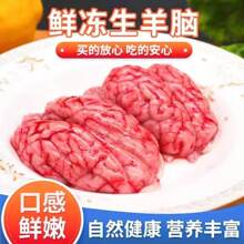 ���r�����X���l�������X������X�r�X���X�����ʳ�����✫����