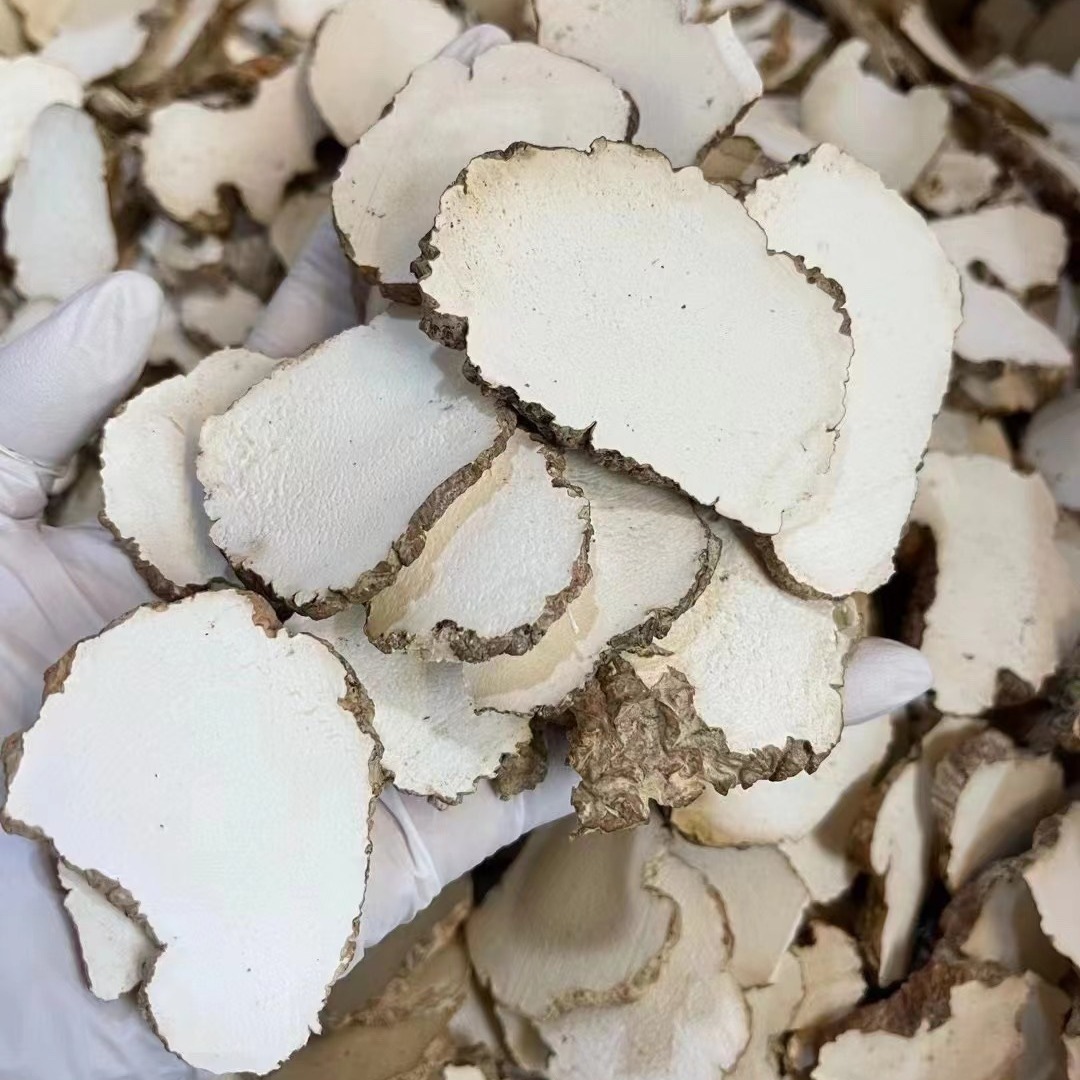 特大片虎乳菌切片足干云南白黑虎奶菌片散装虎乳灵芝煲汤材料500g