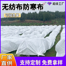 �o��������42g50g���ٷ�����ֲ�����������ᘴ̱��ط�������