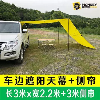 Side Tent, Side Canopy, Avtomobil yan çətirləri - glued-fruit-green-double-canopy-set-side-curtain-22mx3mx2-default-item