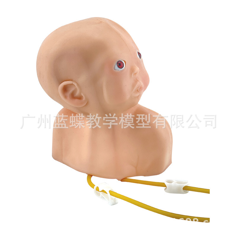 ����Ӥ��ͷ������ע�䴩��ѵ��ģ�� Ӥ��ͷƤע��ģ�� �轺ģ��