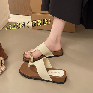 �W�t������ЬŮ�ļ��⴩2026�¿�߼����¸������Ϗ͹���ֺ����Ь