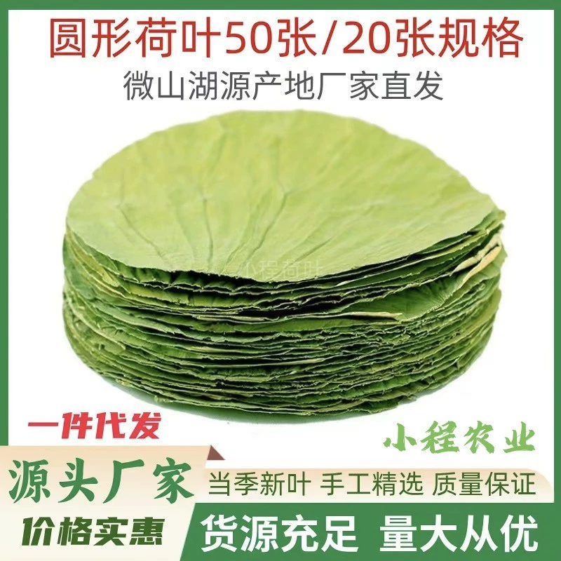 Свежие круглые листья лотоса из озера Вэйшань, сушеные листья лотоса для клейкого риса с курицей, риса из листьев лотоса, чая, зонгзи, пароварки, специальная доставка с бесплатной доставкой.