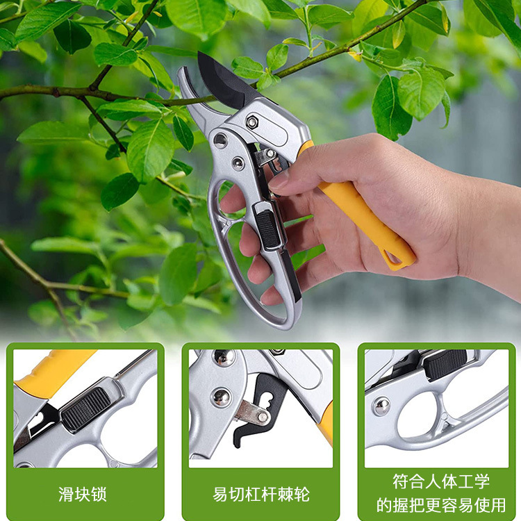 O1CN01mLAmBr1kAXlG7GGA5_!!9836