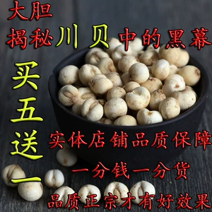 Chuanbei Sichuan имитация дикой посадки Fritillariarsi, без серы без диоксида серы, может измельчить порошок Chuanbei 50 г, чтобы купить 5 Get 1