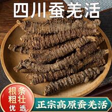 Ǽ��������ș���QǼ�����l���ΰ��β؅^�QǼ��ǼǼ����Ǽ��