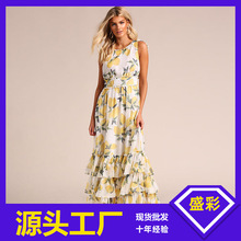 2025�ĚW�����Q�¿�Ů�b�B��ȹebay���R�d��ʽ�ԸПo��ӡ���B��ȹ