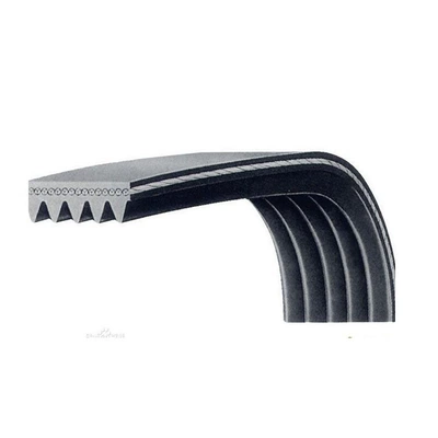 Az2002 Multi-Groove Shark Nv601 – Avtomobil ötürücü kəmərləri
