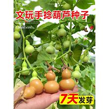 ����С���J�N���ļ��^�p�����������J�ѷN���̨ͥԺ�Nֲ����ֲ��