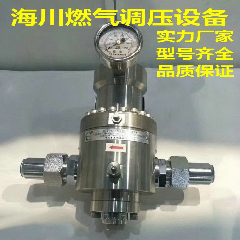 荷兰高特压缩天然气调压器CNG燃气调压阀凯姆雷减压阀稳压阀