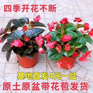 �ļ����Ļ�������󻨴��~�ﺣ��С��С�~�������҃��̨ͥԺ�׻�