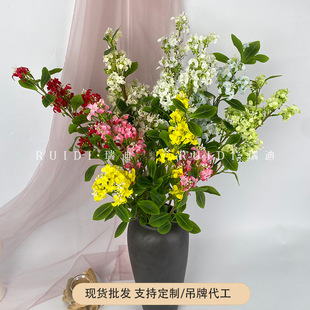 ���滨����ǧ����Ҿ��bƵ겼����c�����Ĕz���߷��滨�ٻ�