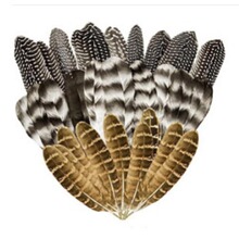 �S��ֱ�N�F؛����C���J���C��ĸɽ�u�CҰ�u��ëDIY�b���ë
