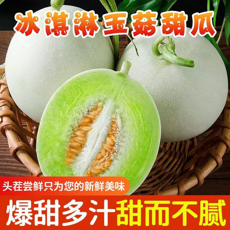 海南头茬冰淇淋玉菇甜瓜新鲜水果白皮绿肉包邮当季白香瓜玉茹整箱