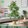 盆栽仿生仿真大型摆件