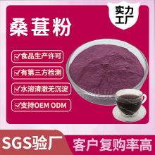 加工定制桑葚提取物食品级桑葚果粉固体饮料原料水溶桑葚粉散装