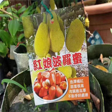 ���}�ۘ����޽ӹ�������ļ�ˮ�����҃���ͥԺ���ԷN���ͺ���ɏ