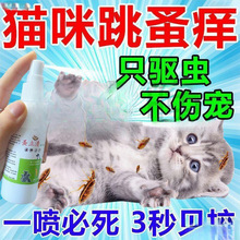 ��؈��x������ș؈��؈��؈С؈ȥʭ�ӳ�������x���Fһ�����l��