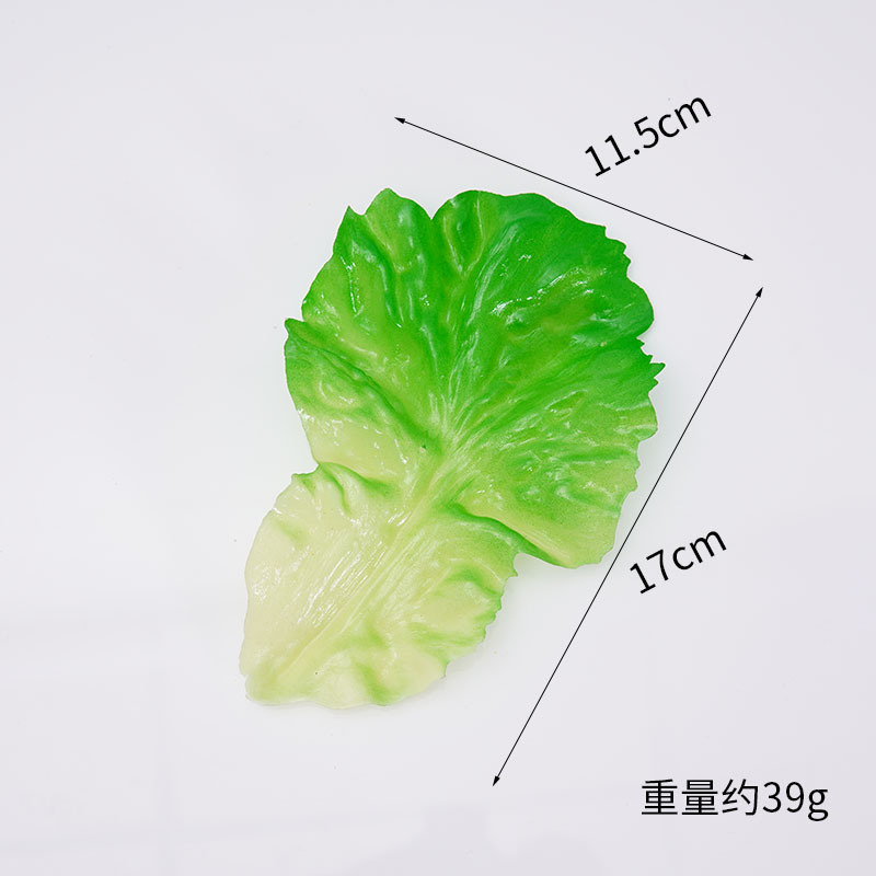 큰 상추 잎 - 버클 없음