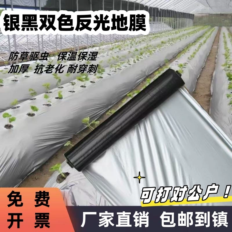 Совершенно новый материал ПЭ, серебристо-черная двухцветная мульчирующая пленка, утолщенная светоотражающая мульчирующая пленка, защищающая от насекомых, мульчирующая пленка для прополки и теплоизоляции для сельскохозяйственного использования.