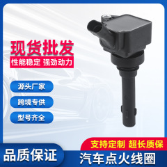 汽车点火线圈高压包F01R00A065适用比亚迪宋速锐思锐秦配件厂家