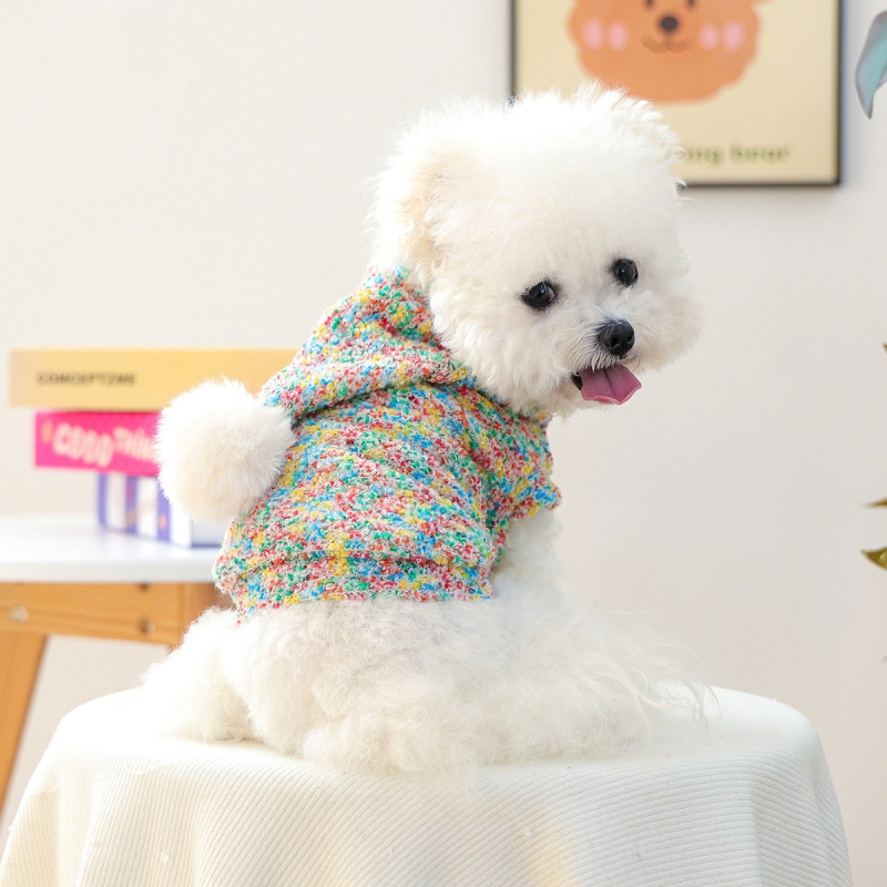 2025秋冬新款宠物小型犬幼犬快乐狗狗猫咪服饰彩色糖豆帽衫|undefined