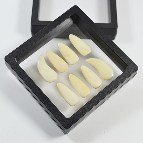 Manufacturer wholesales cow bone guzheng nails for adults and children, special double arc guzheng nails for performance examination