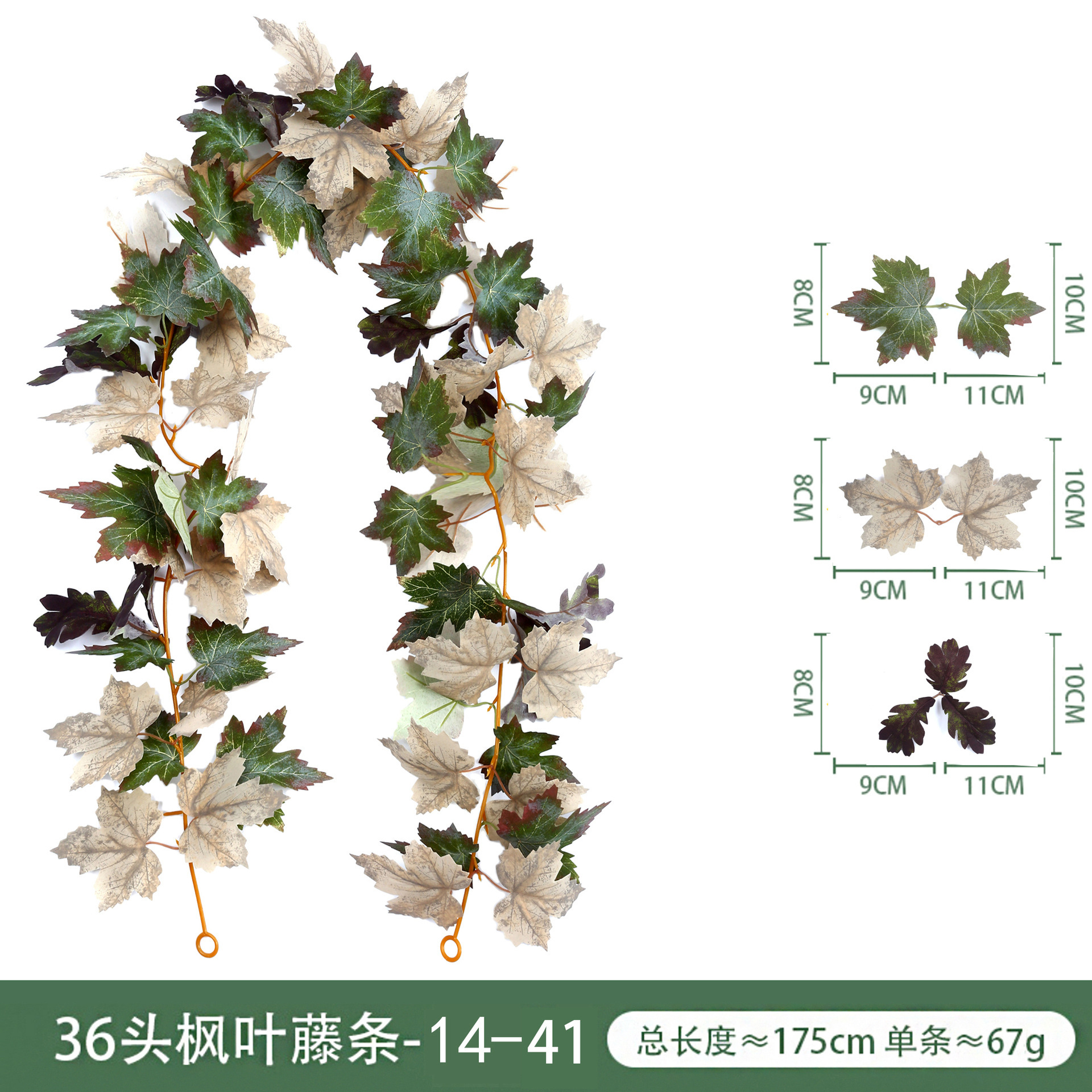 36 Maple Leaf 14-41