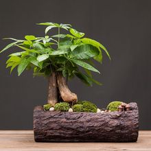 �Gֲ�lؔ��[������ֲ���҃�С�辰�k��������͏d���B�������\��