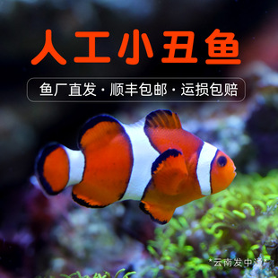 С���~��ˮ�^�p�~���w�˹�������Ī�ͻ���B����